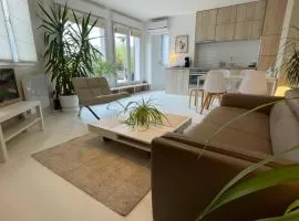 Appartement ,superbe terrasse 40m2 , vieux Lille , centre ville