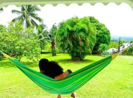 Dans un coin de verdure