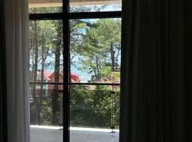 Decom Riviera