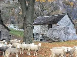 Rustico Gin Avegno Torbecc, Vallemaggia, Tessin,