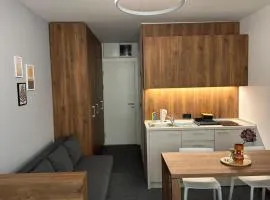 Apartman Kod Gondole Vila Bela Reka