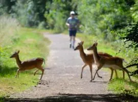 Cosy Attic Flat East London