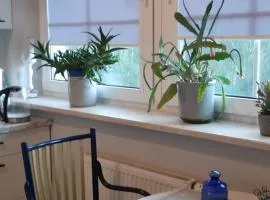 WEEKEND 88m BIG APARTAMENT Numer 1 LUBLIN dobry standard blisko centrum - poczuj sie jak w domu i przedłuż bezpośrednio rezerwację by zostać u nas na dłużej bez opłat za strefę parkowania