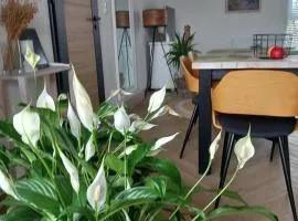 Apartament w centrum z panoramą miasta