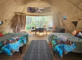 D2 Dino Dome- 2 Dbl Beds - Pet friendly
