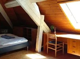 Perfect Location free WiFi City Center Three People