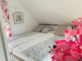 Apartment Scholle Steinbeck