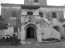 Belvedere di Van D'oro 1886