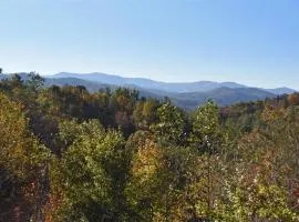 Dream Catcher- Blue Ridge GA