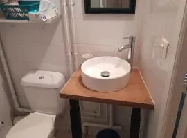 Magnifique appartement