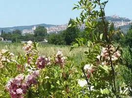 Casa Nonna Jole