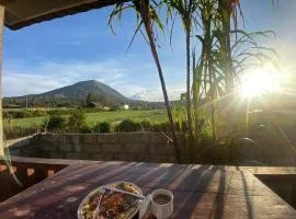 Mount Batur Homestay