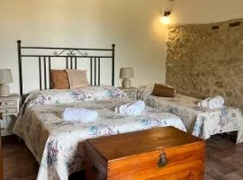 Vecchio Ciliegio - Casale Toscano tra Firenze e Siena