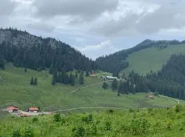 Untere Firstalm