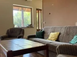 Cabana Micesti