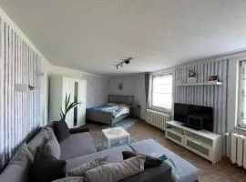 Stilvolle 1 Raumwohnung in Letzlingen