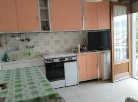 Piccolo appartamento in montagna