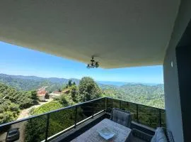 Doğa İle İç İçe Eşsiz Manzaralı Villa
