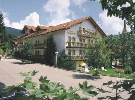 Ferienhotel Rothbacher Hof, spa hotel in Bodenmais