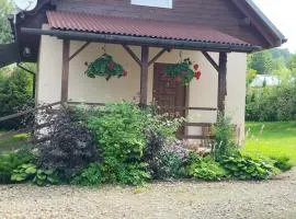 Domek całoroczny Pod Bieszczadzkim Aniołem
