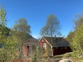 Peaceful cabin retreat in the Norwegian mountains