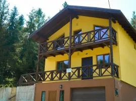 Yellow House