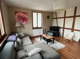Grand appartement à Barr