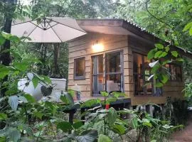 LUGAR PERFEITO