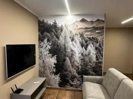 Aosta Center Holidays Apartments Ski & Bike Box