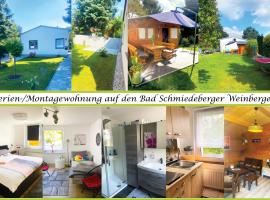 Pension an den Weinbergen, guest house in Bad Schmiedeberg