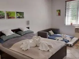 Lótusz Vendégház-Demjén