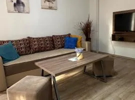 Vila Snezana