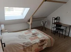 Chambre spacieuse et confortable 1
