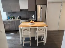 Stylish Stay Toronto Oasis - Reg # STR-2309-HMVRVX exp Feb 21, 2026