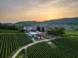 石头降压顶级酒店，位于Bischoffingen的酒店