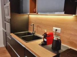 Central Loft Carina ideale per visitare il Centro di Torino