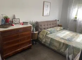 Franky Home