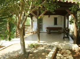 House with garden ON beach