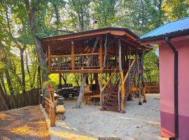 Alen Mak Forest Hotel, spa hotel in Lipnik