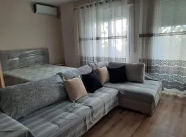 Spacious studio near the seaside