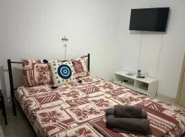 SMALL AND COMFORTABLE APARTMENT VATHI SAMOS