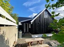 Charming house downtown - the whole house or a bedroom - you choose!