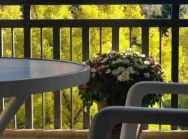 Avon Center 1 Bed 1 Bath w Balcony