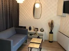 Gîte Cosy - 41m2 - Hyper Centre - Climatisation