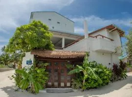 Maldivine Stay Dhiffushi