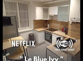 Le Blue IVY Hyper centre 2 chambres Tout équipe