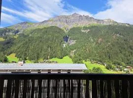 T3 avec vue montagne