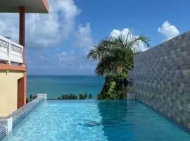 2 Ocean View Villas with Private Pool