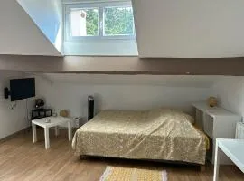 Paradis calme en plein centre ville