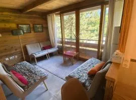 Duplex 3 chambres pour 6 pers, proche village, ski aux pieds - FR-1-459-230